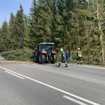 Baumbergung 01.04.2024